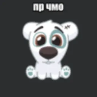 💥 пр чмо Cartoon, Dier, Beer, Wit, Leuk, Tekst telegram sticker