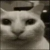 ๐ฑ