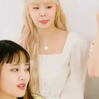 🐚 whatsapp sticker