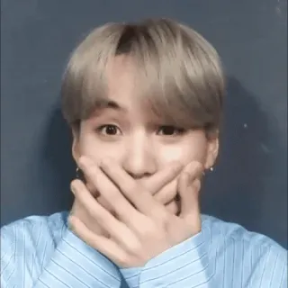 🤭 telegram sticker