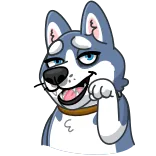 🐶