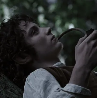💍 Frodo Baggins Lord of the Rings Frodo, Hobbit, Fumando, Cachimbo, Senhor dos Anéis, Fantasia whatsapp sticker