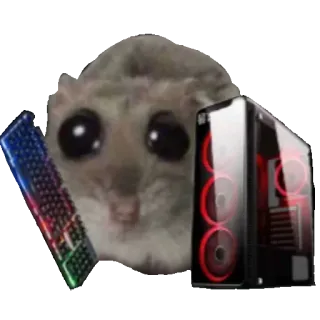🖥 G-Force hamster hamster, gamer, pc, gaming, meme, computer, keyboard, cute telegram sticker