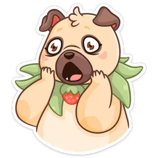 😳 강아지, 퍼그, 귀여운, 스티커, 동물, 딸기, 충격 telegram sticker