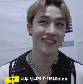 🧸 Bang Chan 방찬 너무 신나게 해가지고 ㅋㅋㅋ kpop, 偶像, 音乐, 歌手, 方灿, straykids telegram sticker