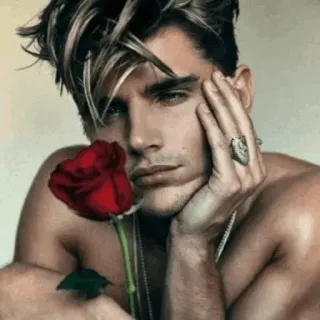 🌹 homme, portrait, rose, torse nu, mannequin homme, beauté, mode, personne whatsapp sticker