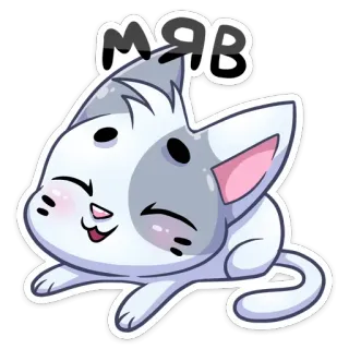😄 мяв Katze, Kätzchen, süß, Tier, Haustier, russisch, Miau whatsapp sticker