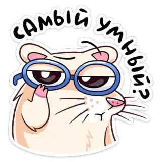 🤓 самый умный? Hamster, Brille, Cartoon, süß, schlau, Frage telegram sticker