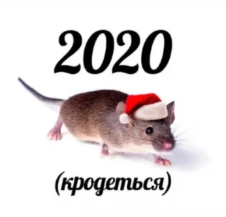 🐭 2020
(кродеться) chuột, năm mới, năm Tý, 2020, mũ ông già Noel telegram sticker