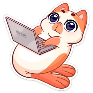 💻 PESOS Katze, Laptop, Pesos, Geld, Währung, süß, Seehund, Tippen, Computer telegram sticker