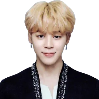 😊 Jimin K-POP, BTS, ジミン, 歌手, セレブ, 音楽 telegram sticker