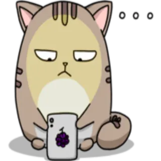 📲 gatto, carino, animale, cartone animato, adesivo whatsapp sticker