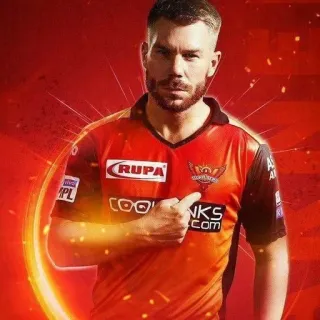 🤩 David Warner, cricket, athlete, sports, Sunrisers Hyderabad, Australian cricketer, batsman whatsapp sticker