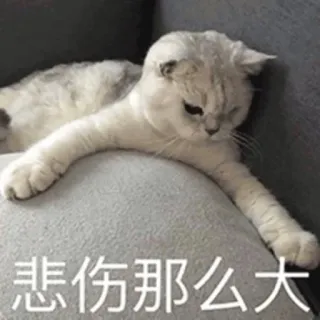 😔 悲伤那么大 gato, triste, meme, animal, mascota, animal doméstico telegram sticker