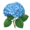 💐