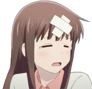 Tohru Honda @Anak_kucing_stiker telegram stickers