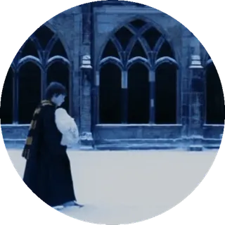 🌟 Harry Potter harry potter, hogwarts, tovenaar, winter, ruïnes telegram sticker