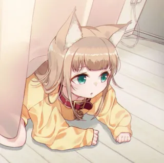 🧸 ragazza anime, orecchie da gatto, carino, kawaii, manga, anime whatsapp sticker