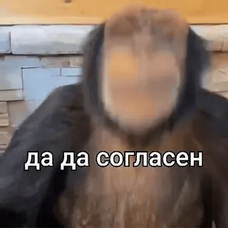 ✅ да да согласен Gorila, Simio, Animal, De acuerdo, Sí, Texto, Mamífero telegram sticker