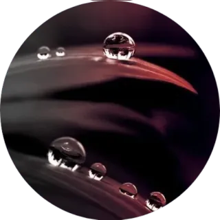 @wisdom_droplets cold season — @stckrRobot whatsapp stickers