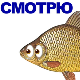 🐠 poisson, animal, drôle, dessin animé whatsapp sticker
