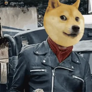 😏 Negan The Walking Dead doge, mem, the walking dead, negan, przemoc, skórzana kurtka, broń telegram sticker
