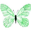 🦋