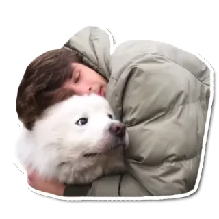 💕 собака, объятие, милый, самоед, человек, зима, нежность telegram sticker