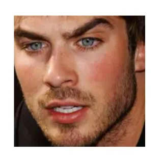✌ Ian Somerhalder ritratto, uomo, attore, celebrità telegram sticker