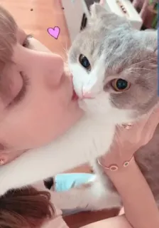 😘 mulher, gato, animal de estimação, amor, carinho, beijo whatsapp sticker