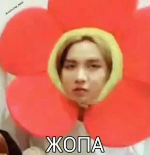 🍑 ЖОПА K-pop, Kwiat, Naklejka, Rosyjski, Obraźliwe telegram sticker