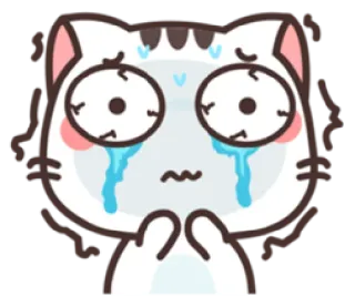 😭 mèo, khóc, buồn, cảm xúc, hoạt hình, động vật whatsapp sticker