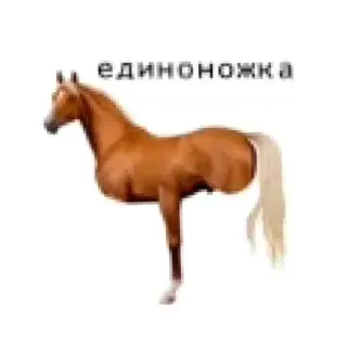 💇 единоножка telegram sticker