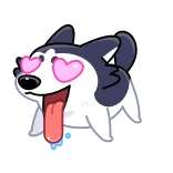 😍 ハスキー, 犬, 愛, ハート目, アニメ, かわいい whatsapp sticker