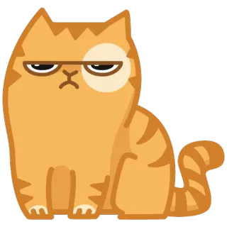 😐 kat, oranje, chagrijnig, schattig, dier, sticker, huisdier, katachtig whatsapp sticker