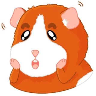 🤯 モルモット, かわいい, 動物, ペット, 漫画, 愛らしい, げっ歯類 telegram sticker