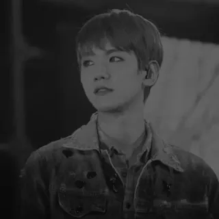 🇦🇹 Baekhyun kpop, singer, artist, celebrity, baekhyun, exo, korean telegram sticker
