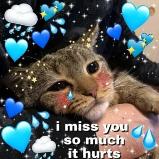 😢 i miss you so much it hurts แมว, คิดถึง, เศร้า, น่ารัก, น้ำตา, รัก telegram sticker