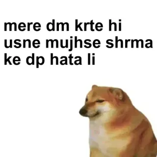 🌟 Cheems Doge meme mere dm krte hi usne mujhse shrma ke dp hata li telegram sticker