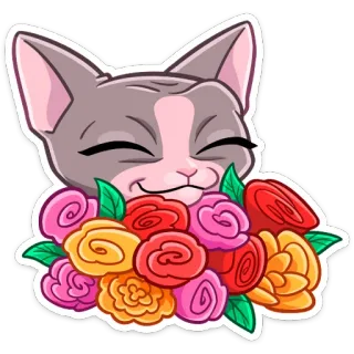 💐 Katze, Blumen, Rosen, Tier, süß, Haustier whatsapp sticker