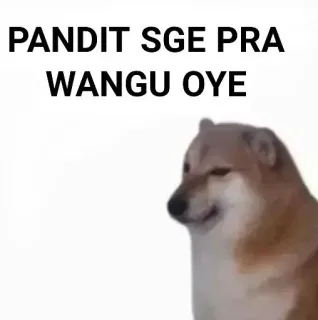 ✨ PANDIT SGE PRA
WANGU OYE telegram sticker
