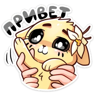 👋 ПРИВЕТ xin chào, thỏ, dễ thương, vẫy tay, hoa, chào telegram sticker