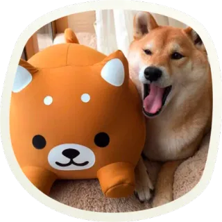 😜 собака, сиба-ину, животное, милый, питомец, доге, оранжевый, плюш telegram sticker