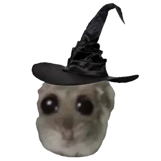 🧙‍♀ Sad Hamster sad hamster, witch, wizard, halloween, meme, funny, cute telegram sticker