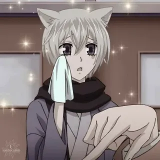 ☁️ Tomoe Kamisama Kiss Anime, Katze, Traurig, Weinend, Junge, Fuchs, Kamisama Kiss, Tomoe telegram sticker