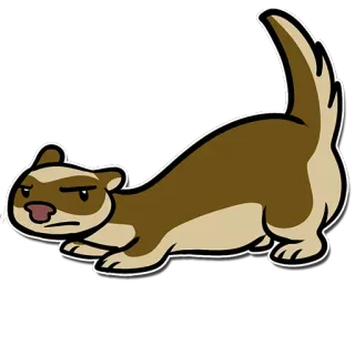 Ferrets whatsapp stickers