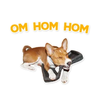 👅 OM HOM HOM dog, cute, puppy, animal, pet telegram sticker