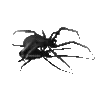 🕷