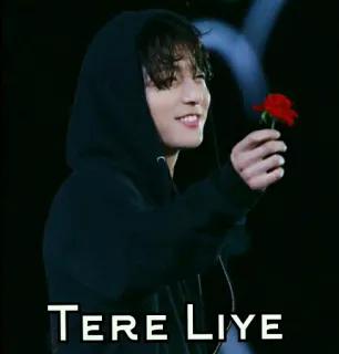 🌺 Tere Liye osoba, mężczyzna, czerwona róża, uśmiech, Tere Liye telegram sticker