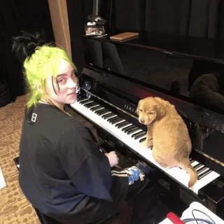 🕸 Billie Eilish ビリー・アイリッシュ, 歌手, ピアノ, 犬, 音楽 telegram sticker